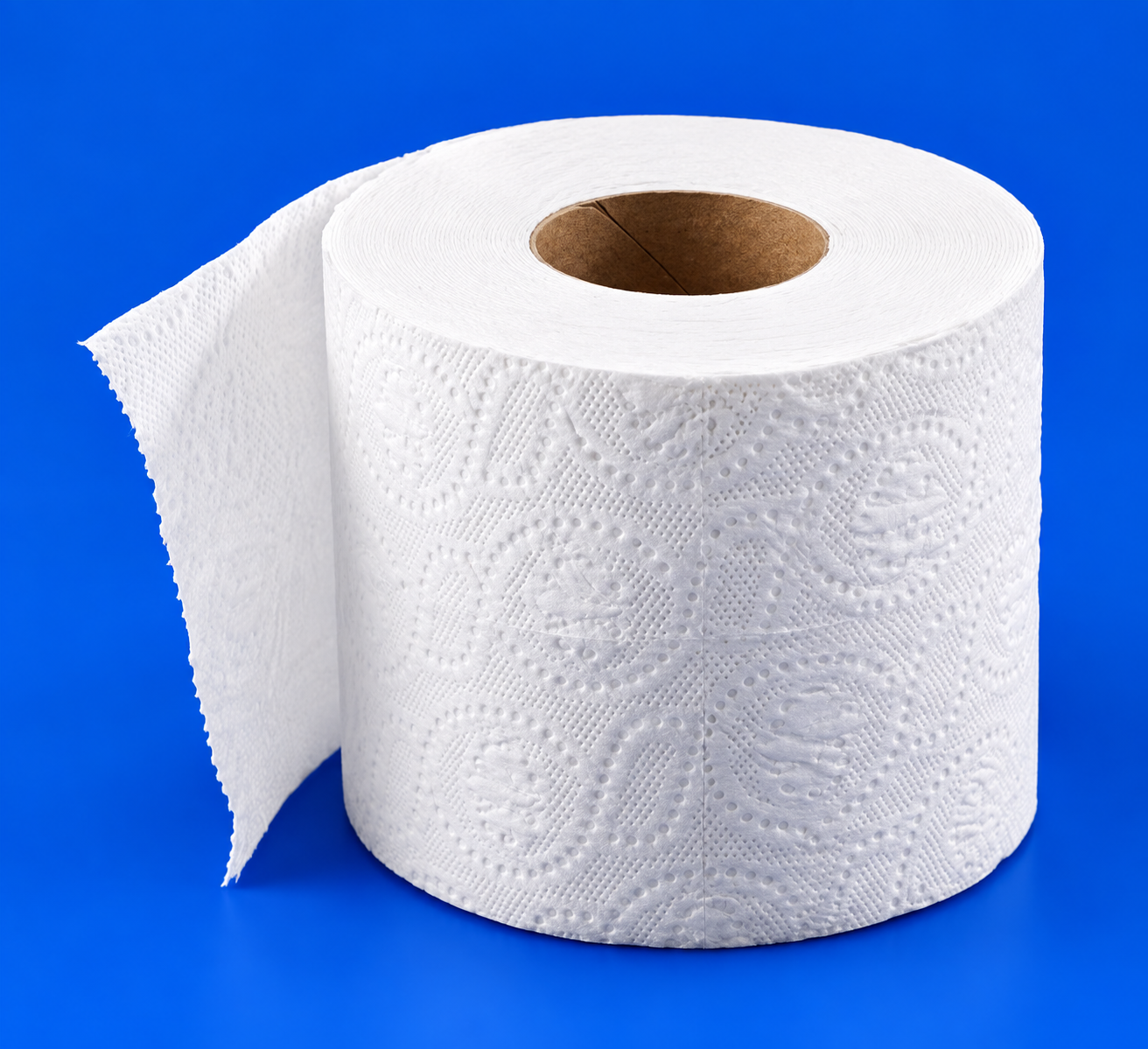 (image for) TOILET PAPER 2 PLY